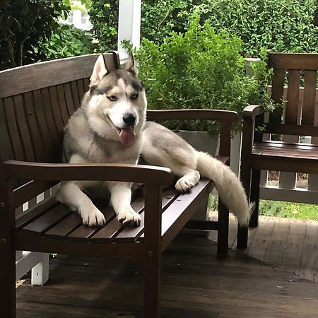Birches B&B Taree Dış mekan fotoğraf