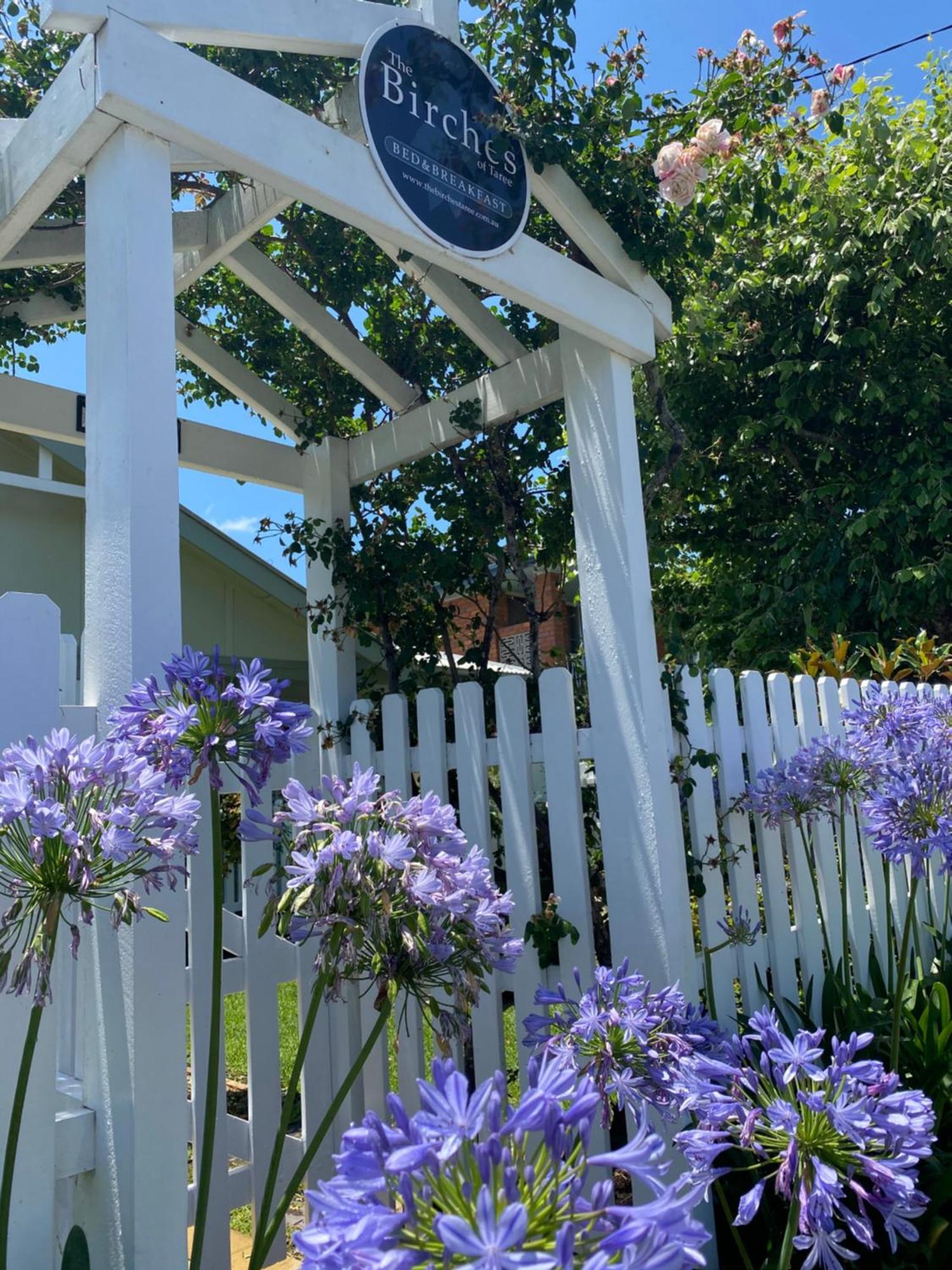 Birches B&B Taree Dış mekan fotoğraf