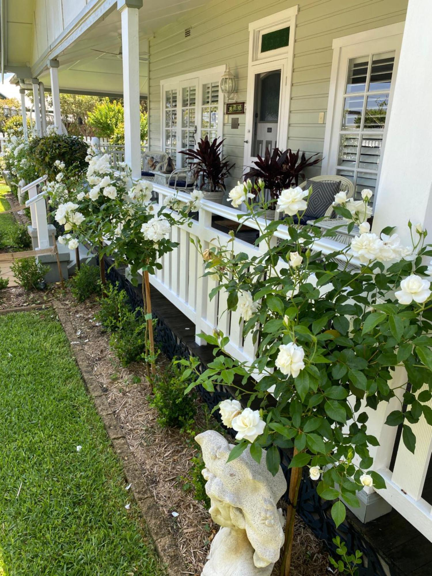 Birches B&B Taree Dış mekan fotoğraf